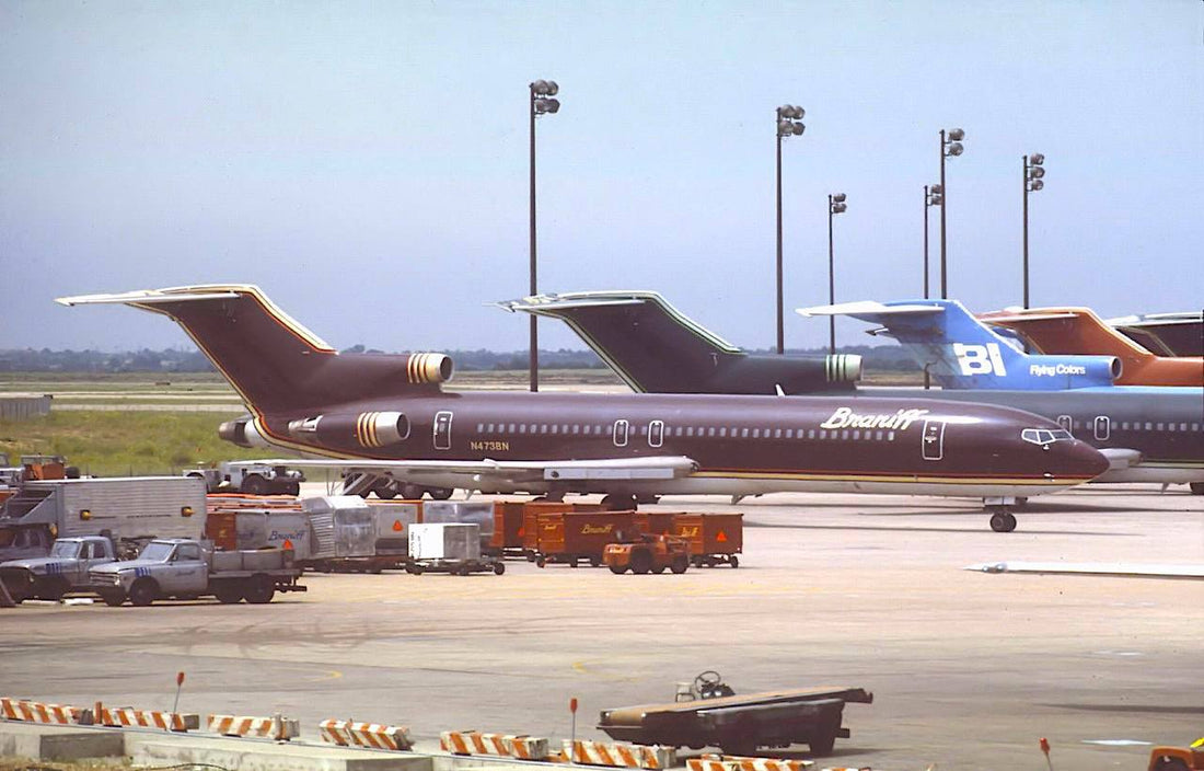 DELIVERED TO BRANIFF TODAY - 1/22/1980