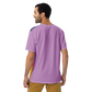 Shirt Short Sleeve Men's Women's Braniff DFW Swirl BI Logo