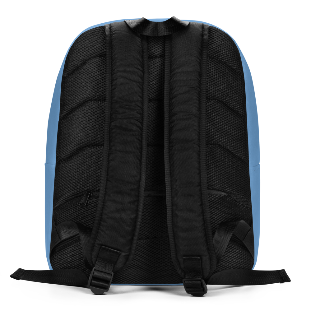 Backpack Braniff Circle of Braniff Boeing 707 Jets Pink Blue