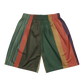 Shorts Men's Women's Braniff Alexander Girard Design Stripes Gray Green 1965