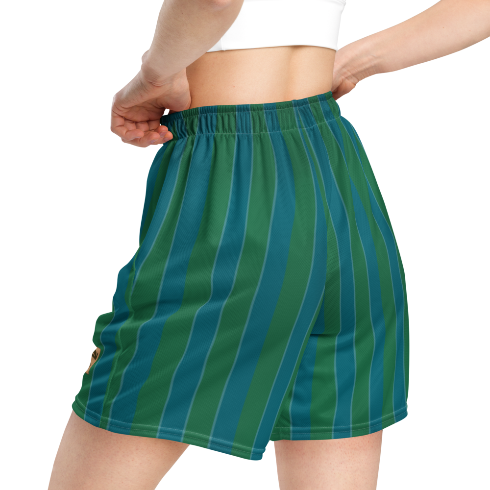 Shorts Men's Women's Braniff Alexander Girard Design Stripes Blue Green 1965