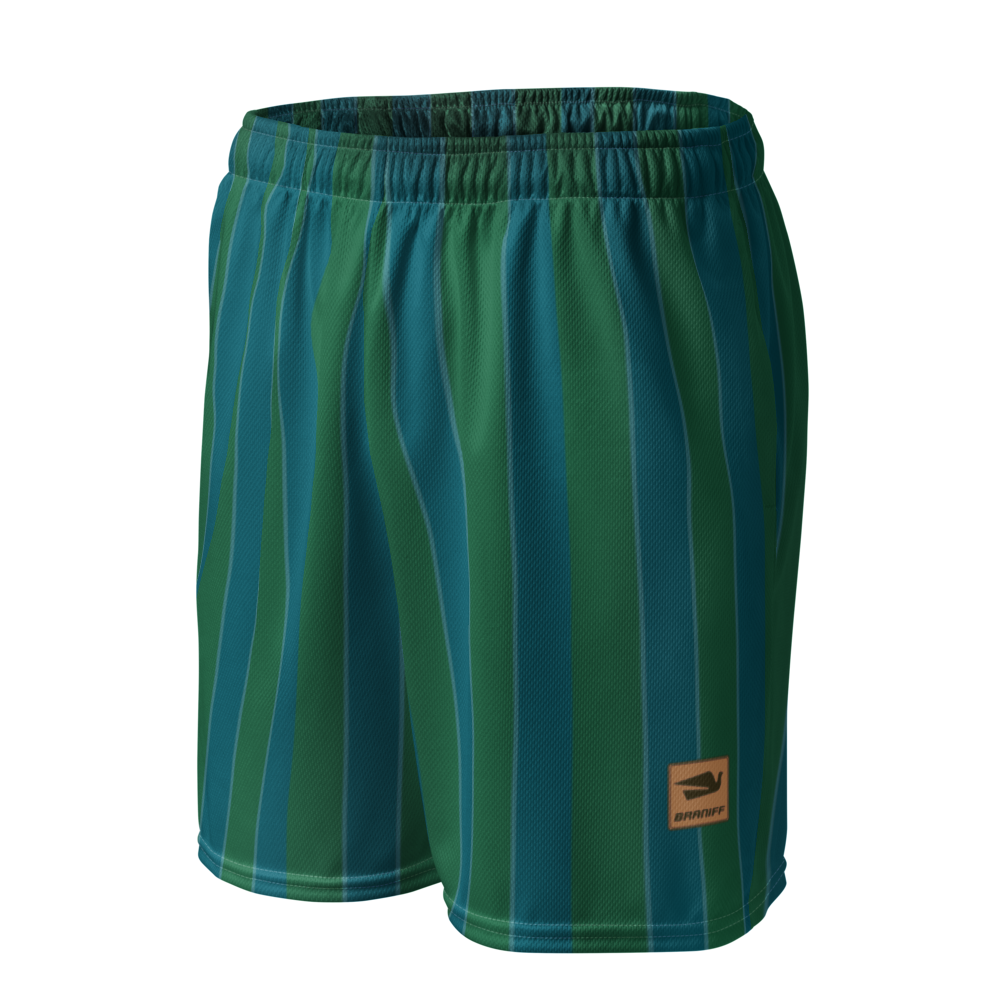 Shorts Men's Women's Braniff Alexander Girard Design Stripes Blue Green 1965