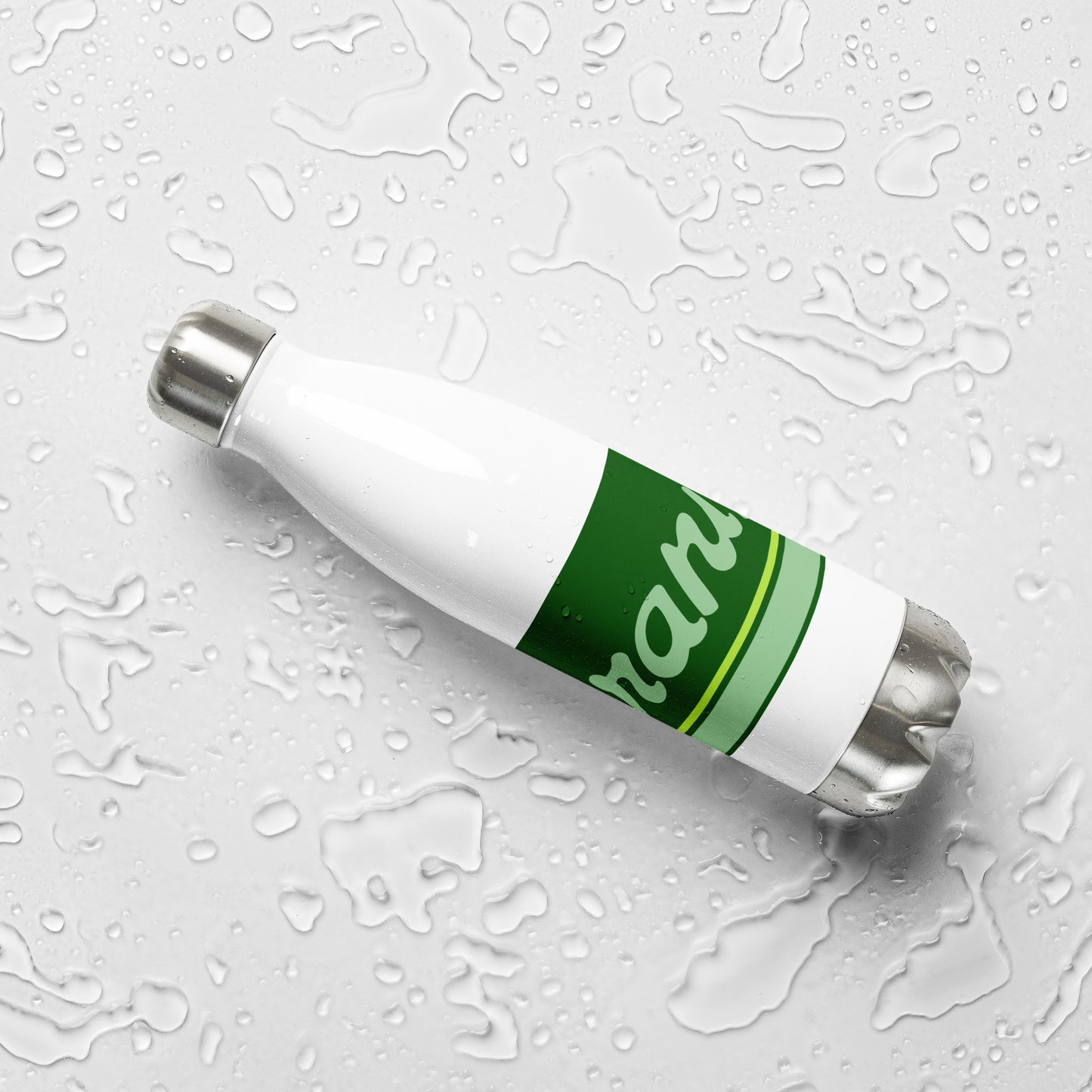 Water Bottle Stainless Steel Braniff Ultra Perseus Green 1978