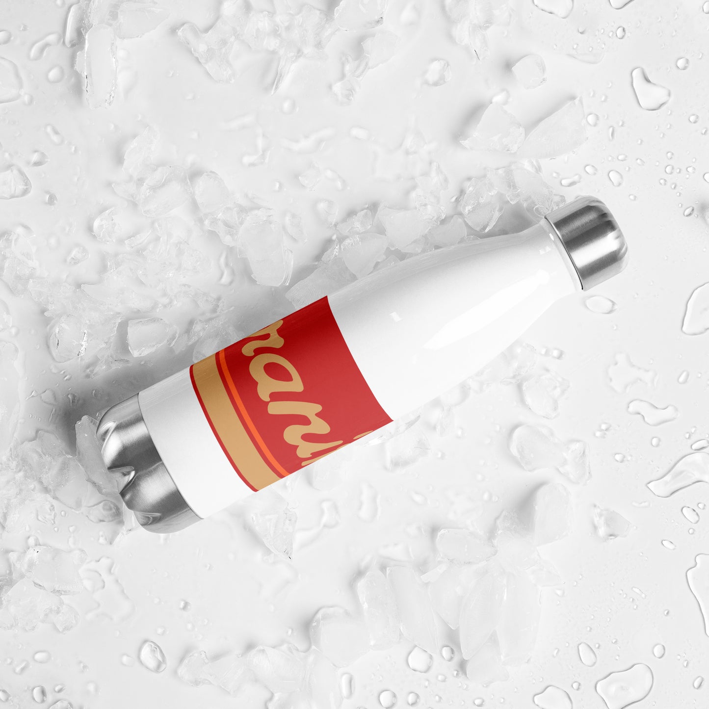 Water Bottle Stainless Steel Braniff Ultra Terra Cotta 1978