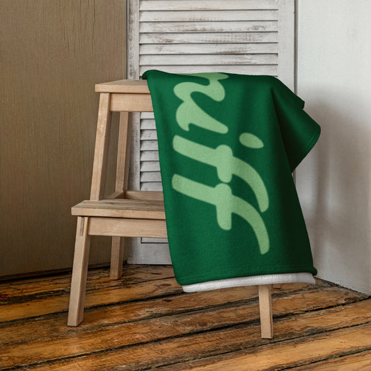 Bath and Beach Towel Sheet Extra Large Braniff Ultra Perseus Green 1978