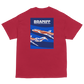 T-Shirt Shirt Short Sleeve by Gildan Braniff Flying Colors Boeing 727 Bicentennial Color Scheme on Shirt Back