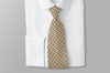 Braniff Men Brown Necktie - Braniff Halston Design H – Braniff Boutique